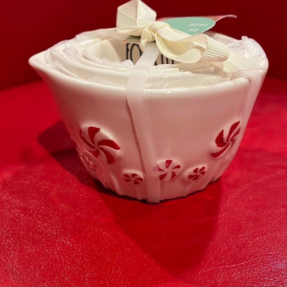 NWT Rae Dunn peppermint measuring cups